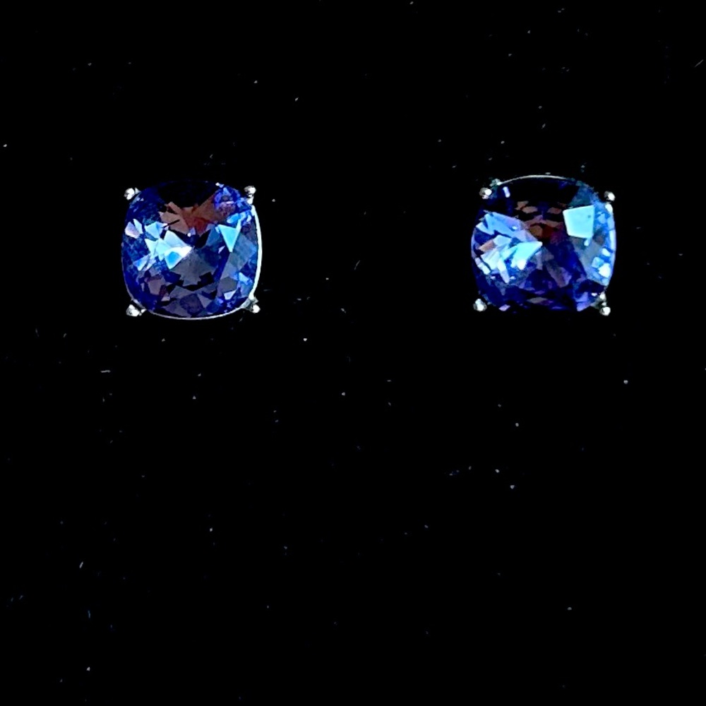 Spartina 449 Elegant Blue Stud Earrings